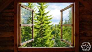 Фермерские дома Eco Camp Drno Brdo Kosanica Просторный двухместный номер с 2 отдельными кроватями-4