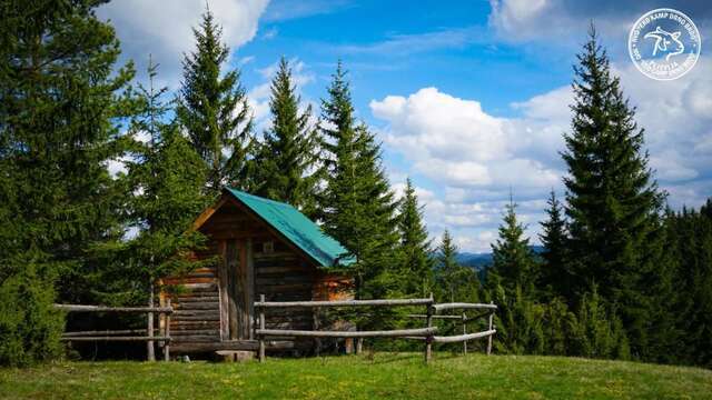 Фермерские дома Eco Camp Drno Brdo Kosanica-3