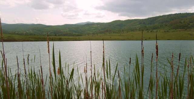 Фермерские дома Eco Camp Drno Brdo Kosanica-40